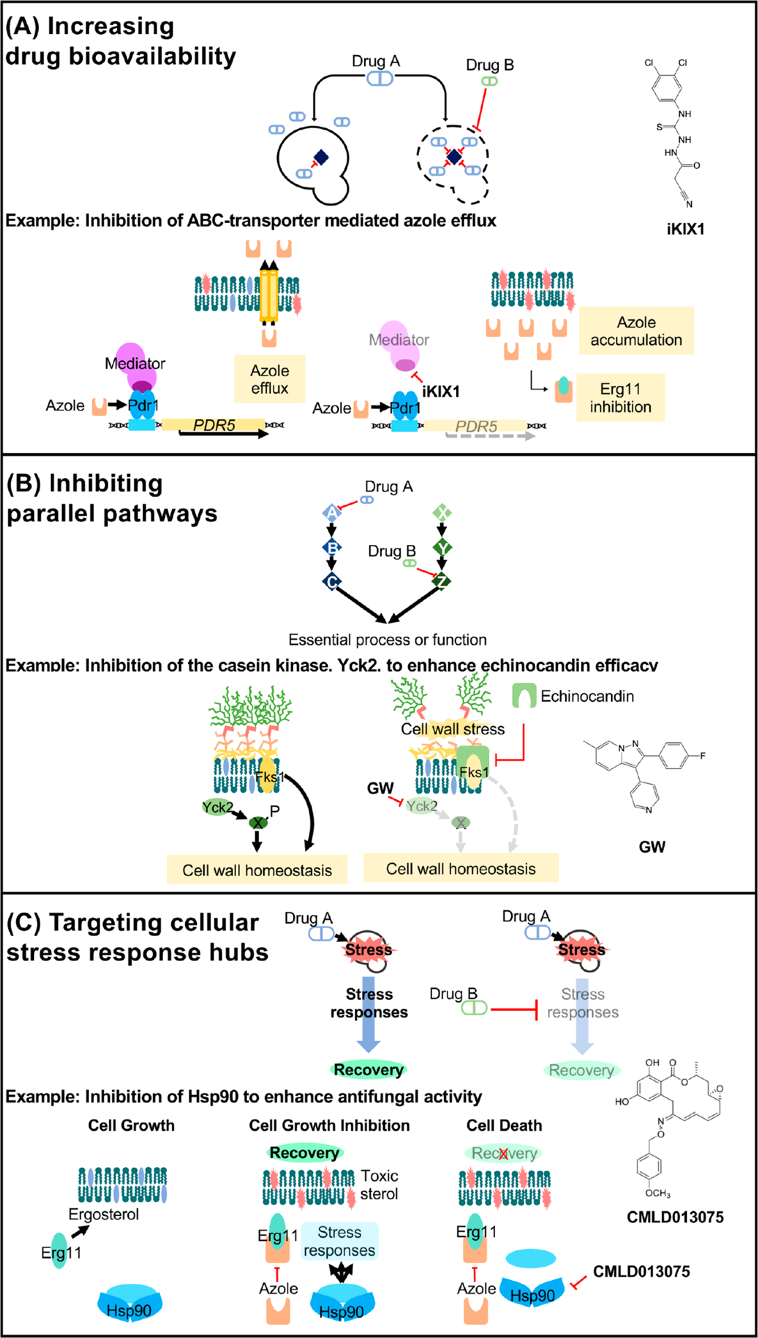 Figure 4.