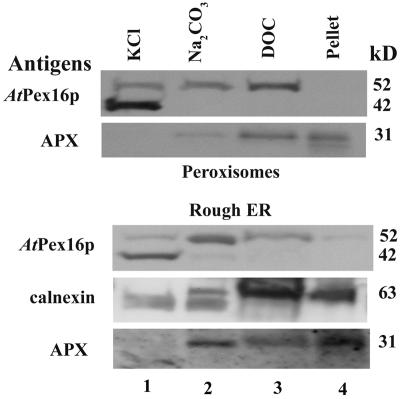 Figure 10.