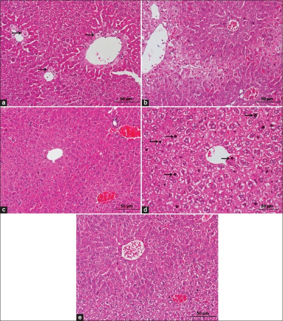 Figure-3