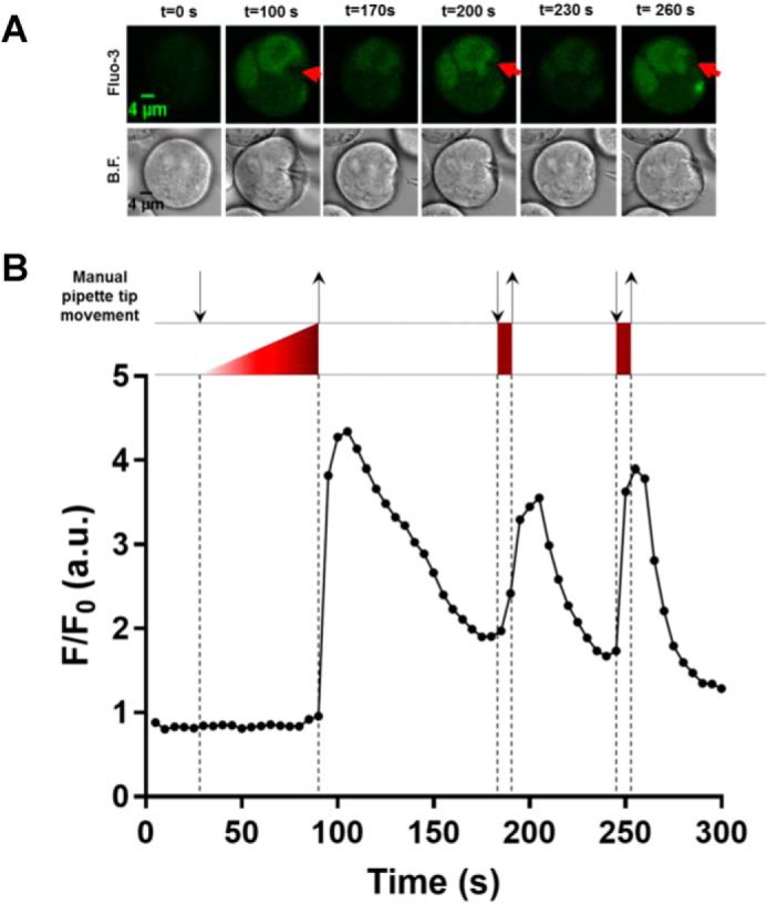 Figure 9.