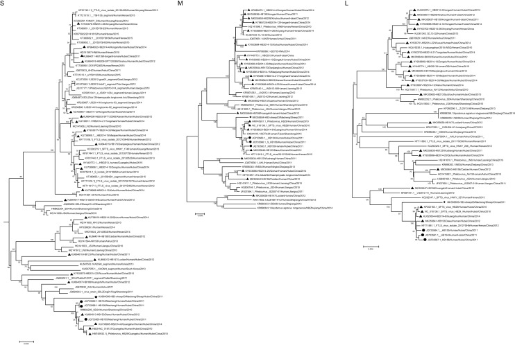 Fig. 1