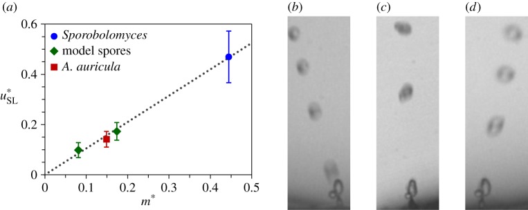 Figure 10.