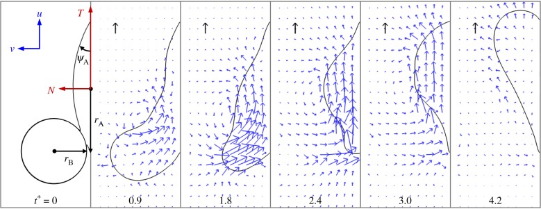 Figure 4.