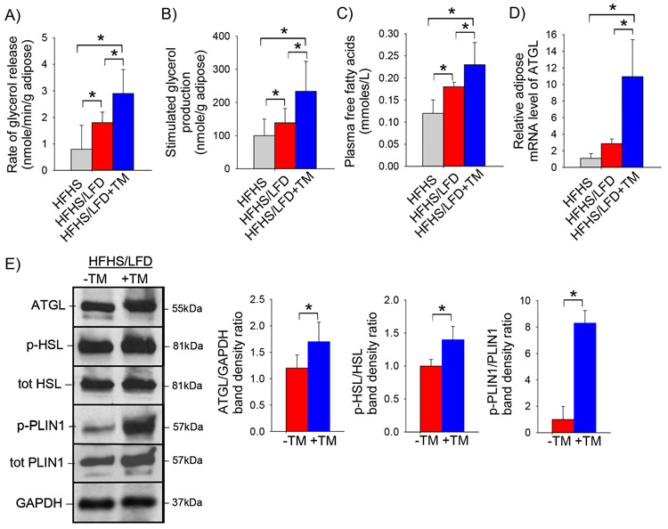 Figure 3: