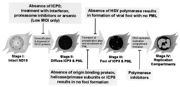 FIG. 10