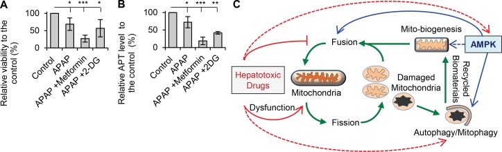 Fig 10