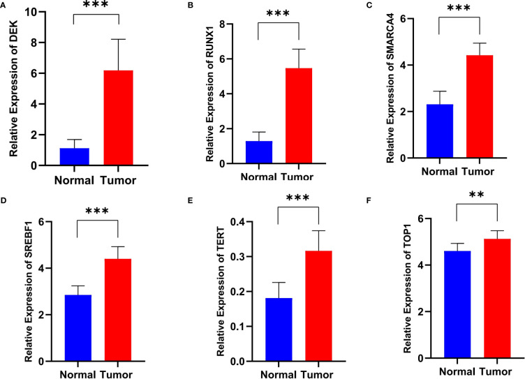 Figure 4