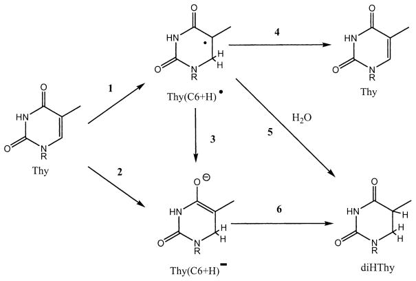 FIG. 9