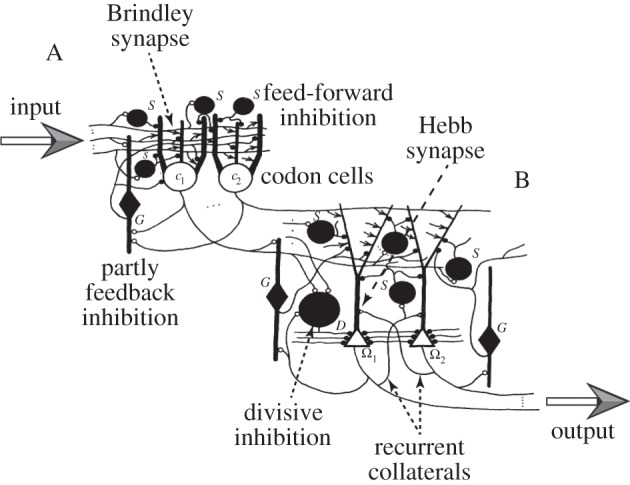 Figure 2.