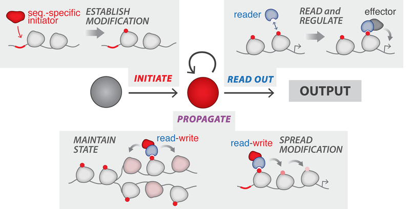 Figure 1: