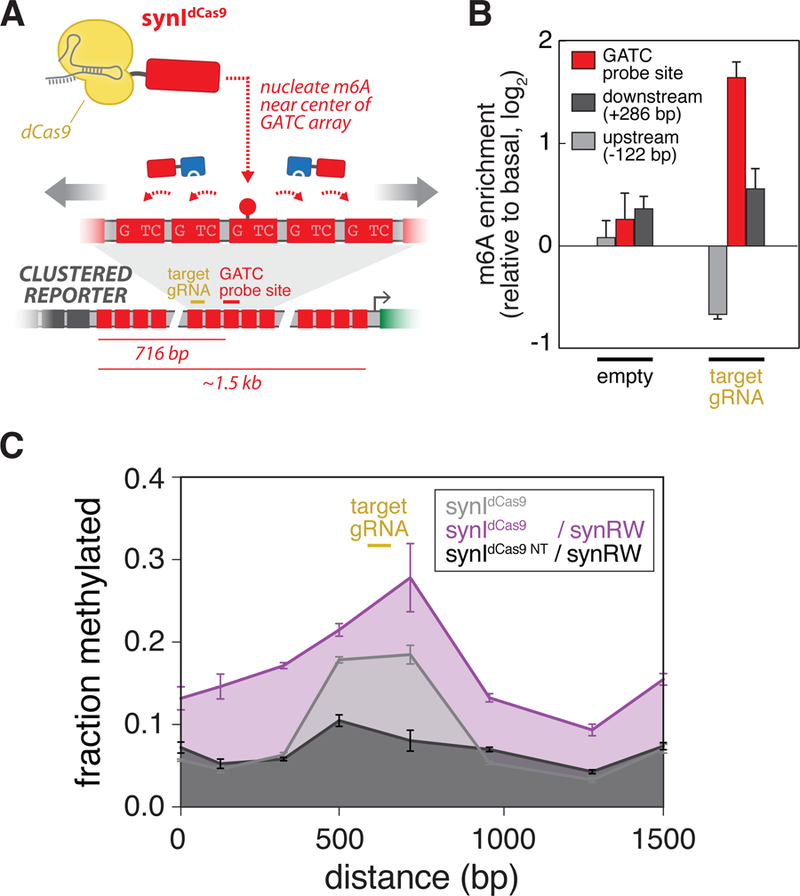 Figure 5: