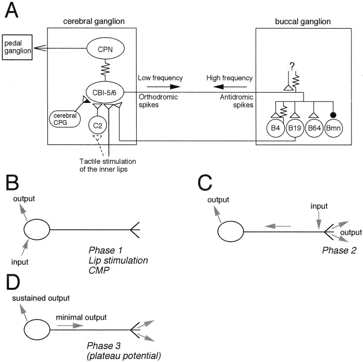 Fig. 12.