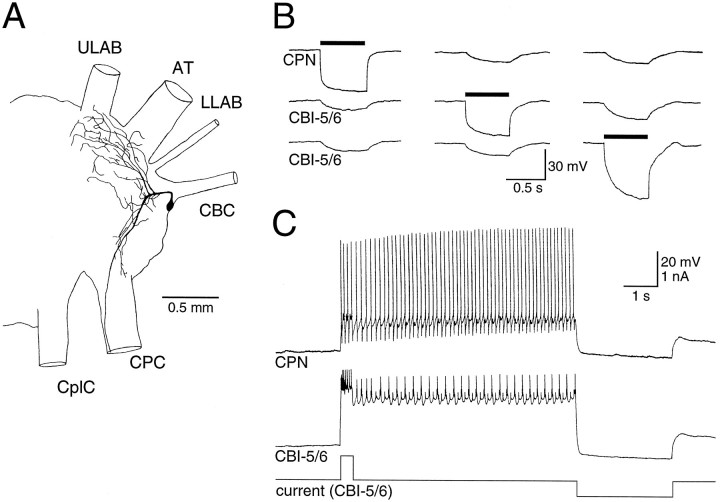 Fig. 3.