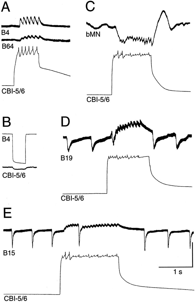 Fig. 8.