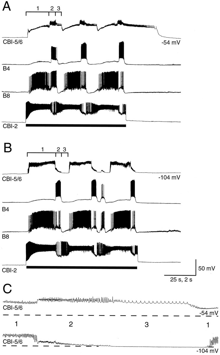 Fig. 9.