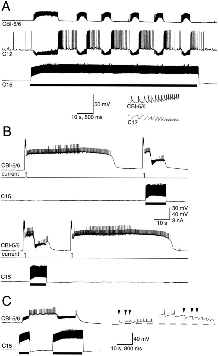 Fig. 6.