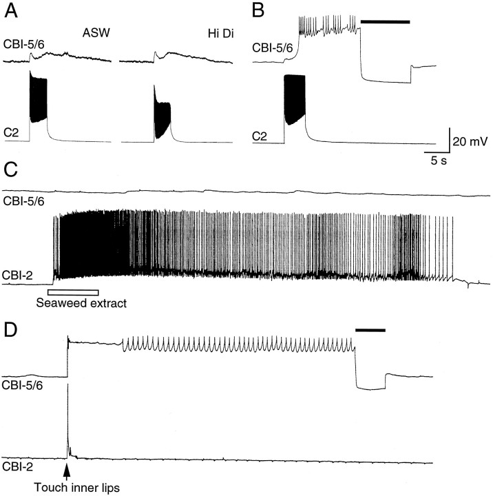 Fig. 5.