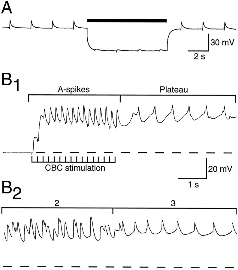 Fig. 11.