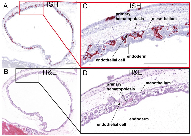 Fig 13