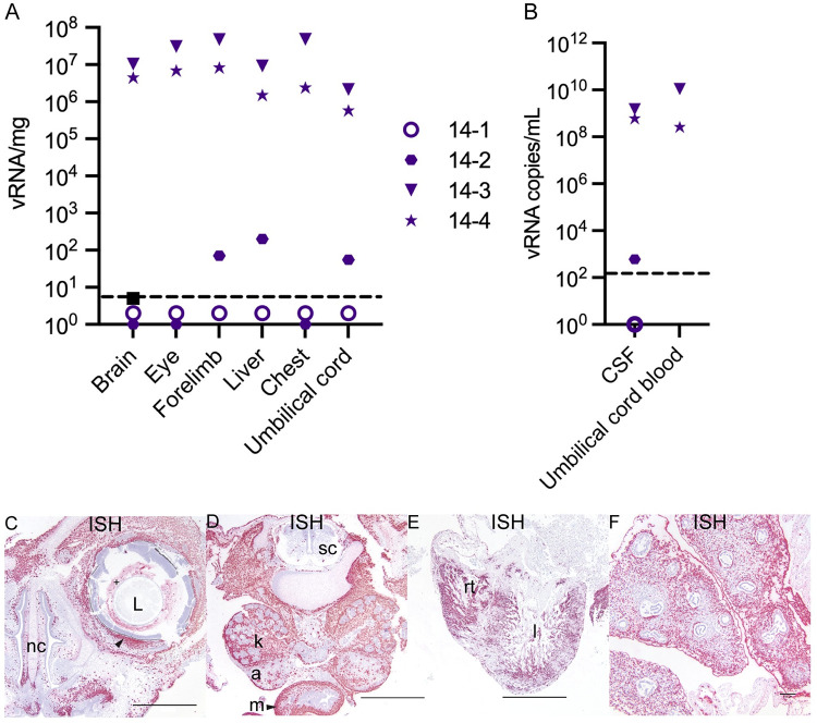 Fig 8