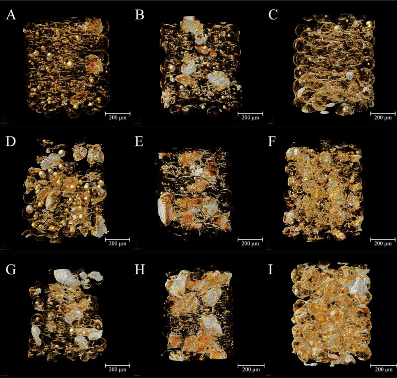 Fig. 5