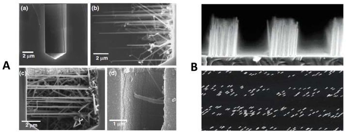 Fig. 11