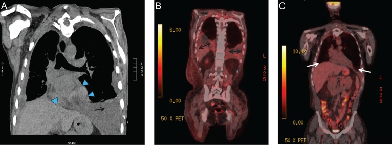 Figure 2: