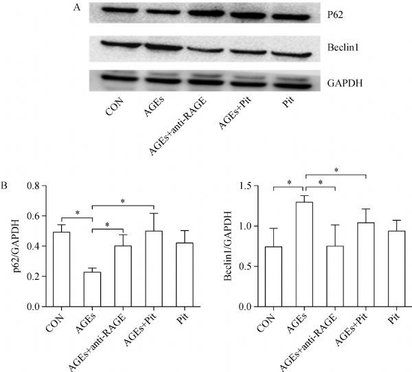 Fig.3