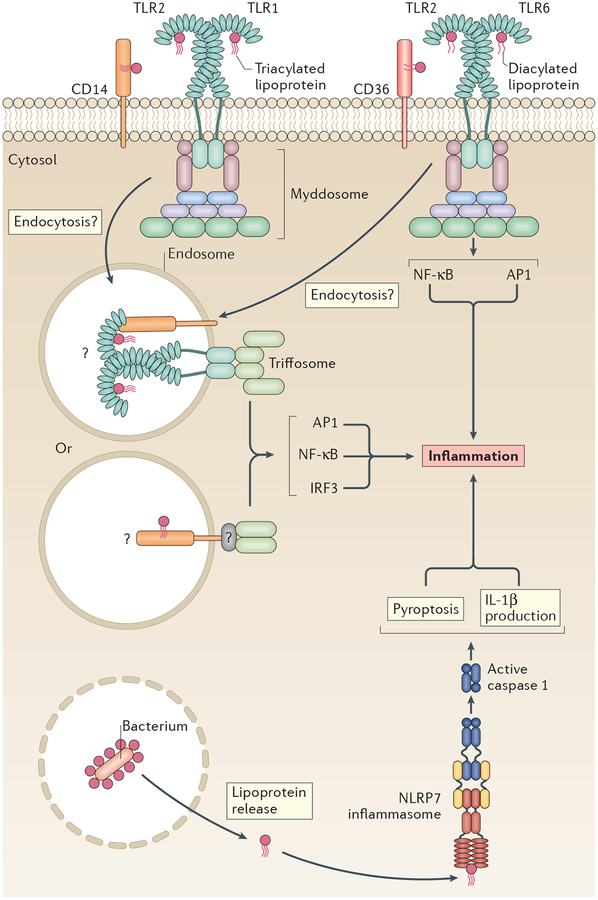 Figure 3 |