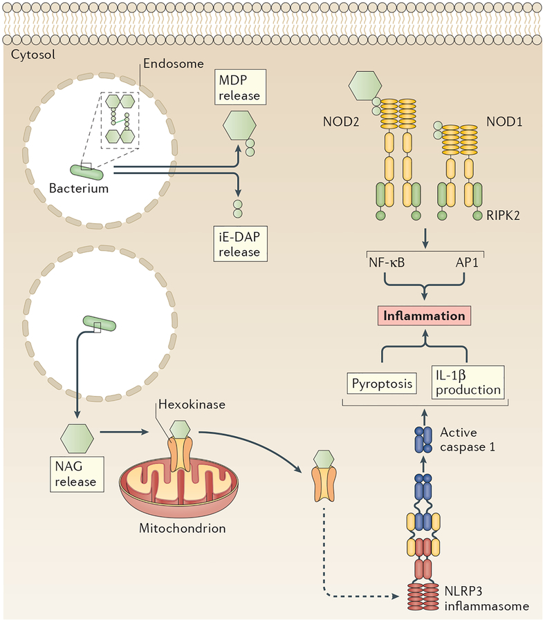 Figure 4 |