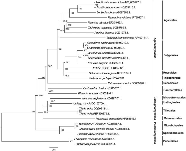 Figure 1.