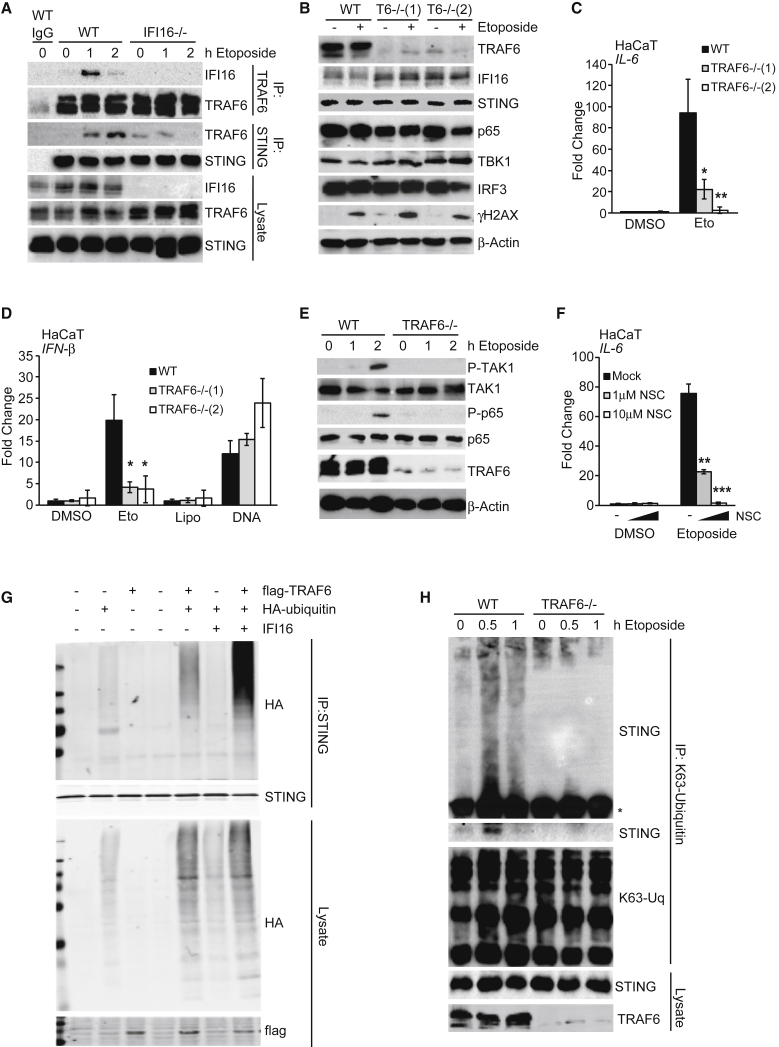 Figure 7