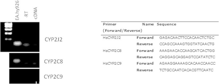 Supplementary Figure 1