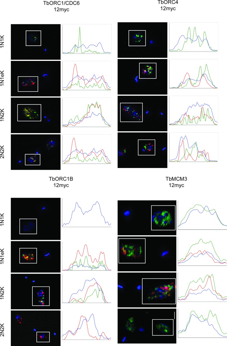 Figure 6.