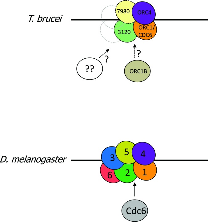 Figure 9.