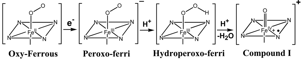 Scheme 1