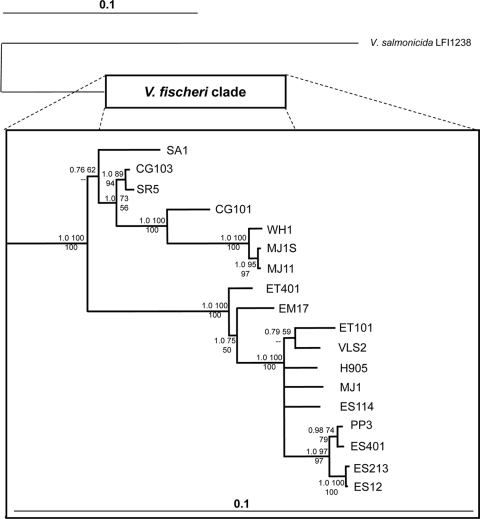 FIG. 5.