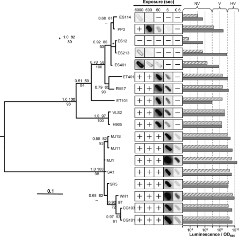 FIG. 3.