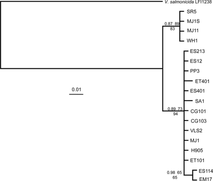 FIG. 4.