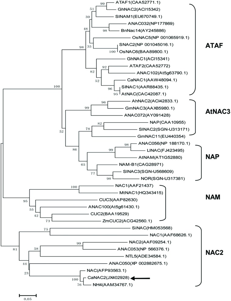 FIGURE 1