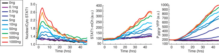 Figure 1—figure supplement 2.