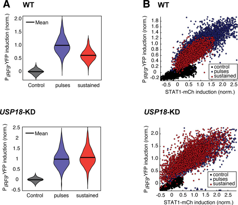 Figure 3—figure supplement 2.