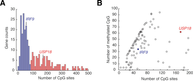 Figure 5—figure supplement 3.