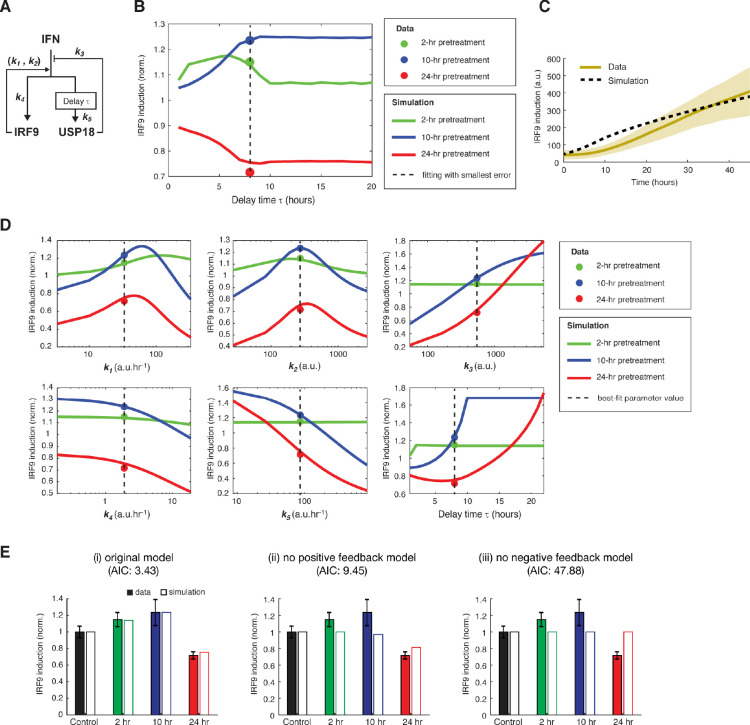 Figure 3—figure supplement 1.