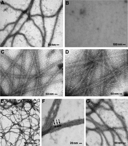 FIGURE 10.