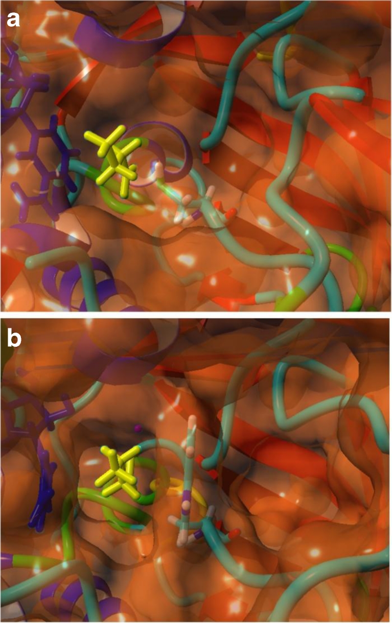 Fig. 5