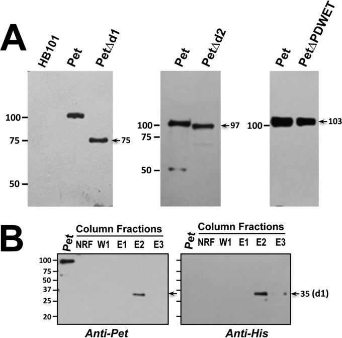 FIG 2