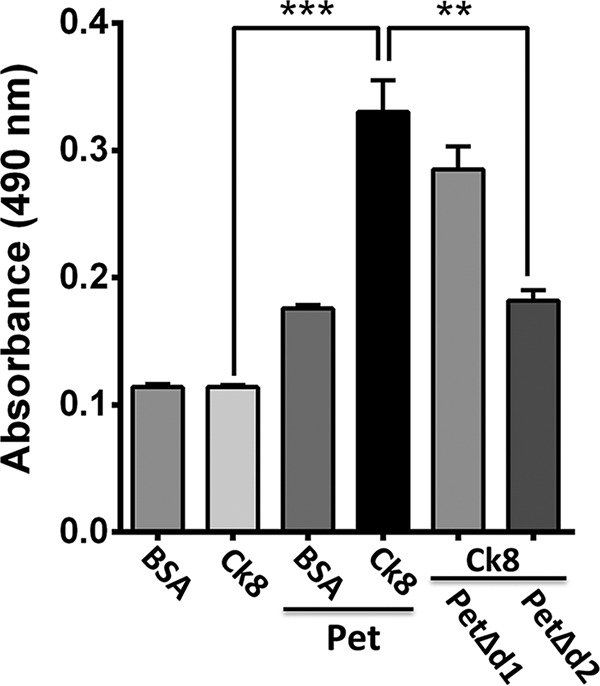 FIG 6