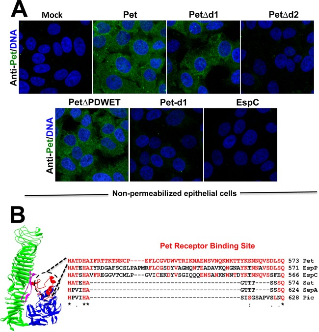 FIG 3