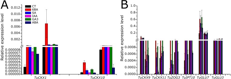 Figure 6